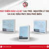 Máy điện não là gì? Vai trò, nguyên lý đo và các mẫu máy EEG phổ biến